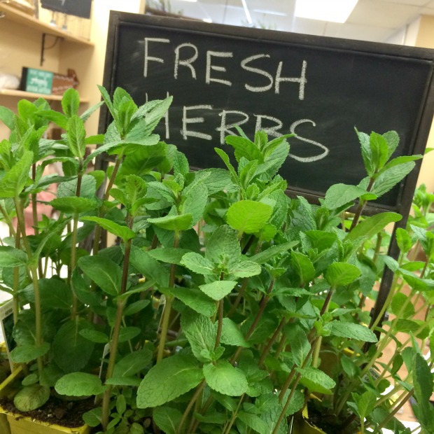 rockford20peachy20kates20garden204_zpsyfzbd2hh